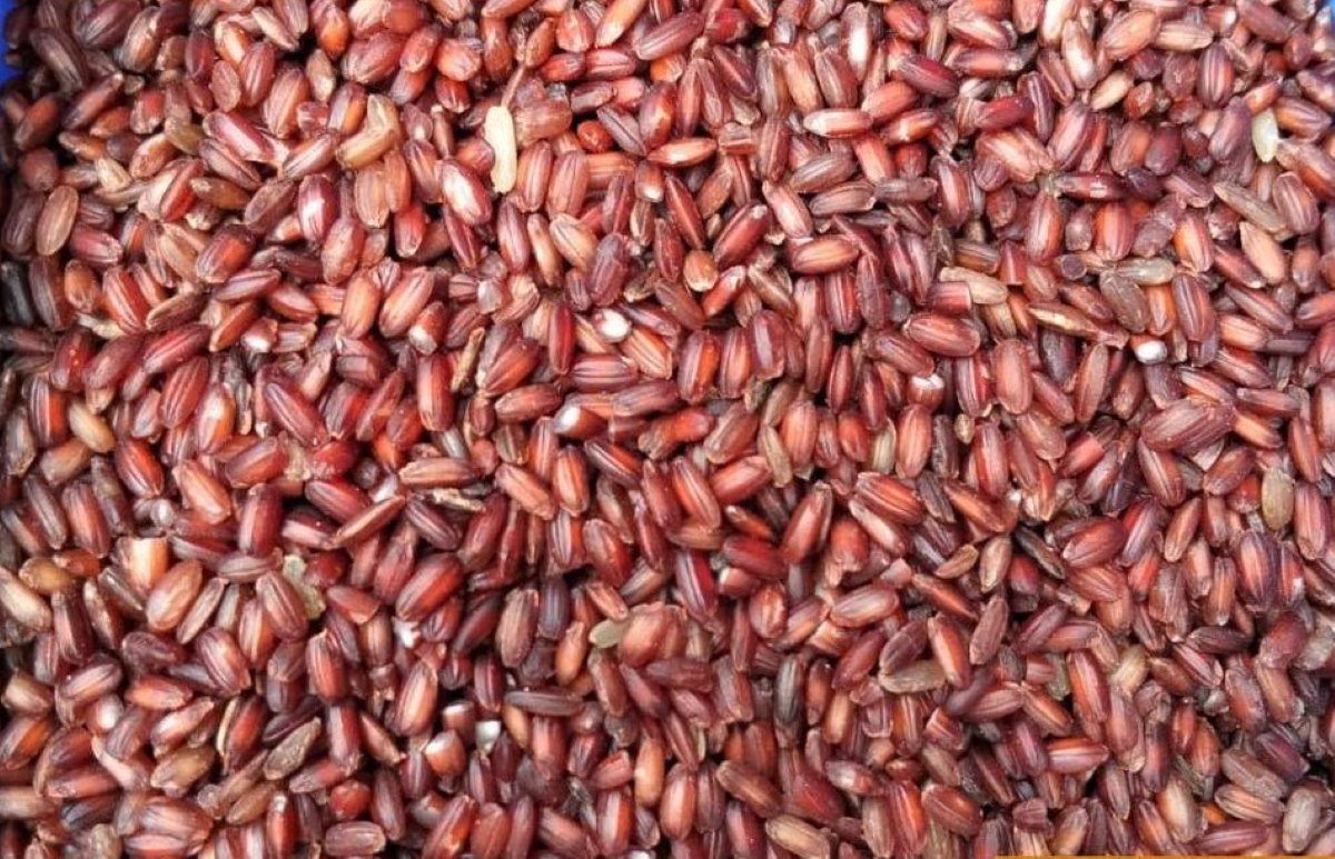 লাল চাল(ফুল ফাইভার) - Image 2