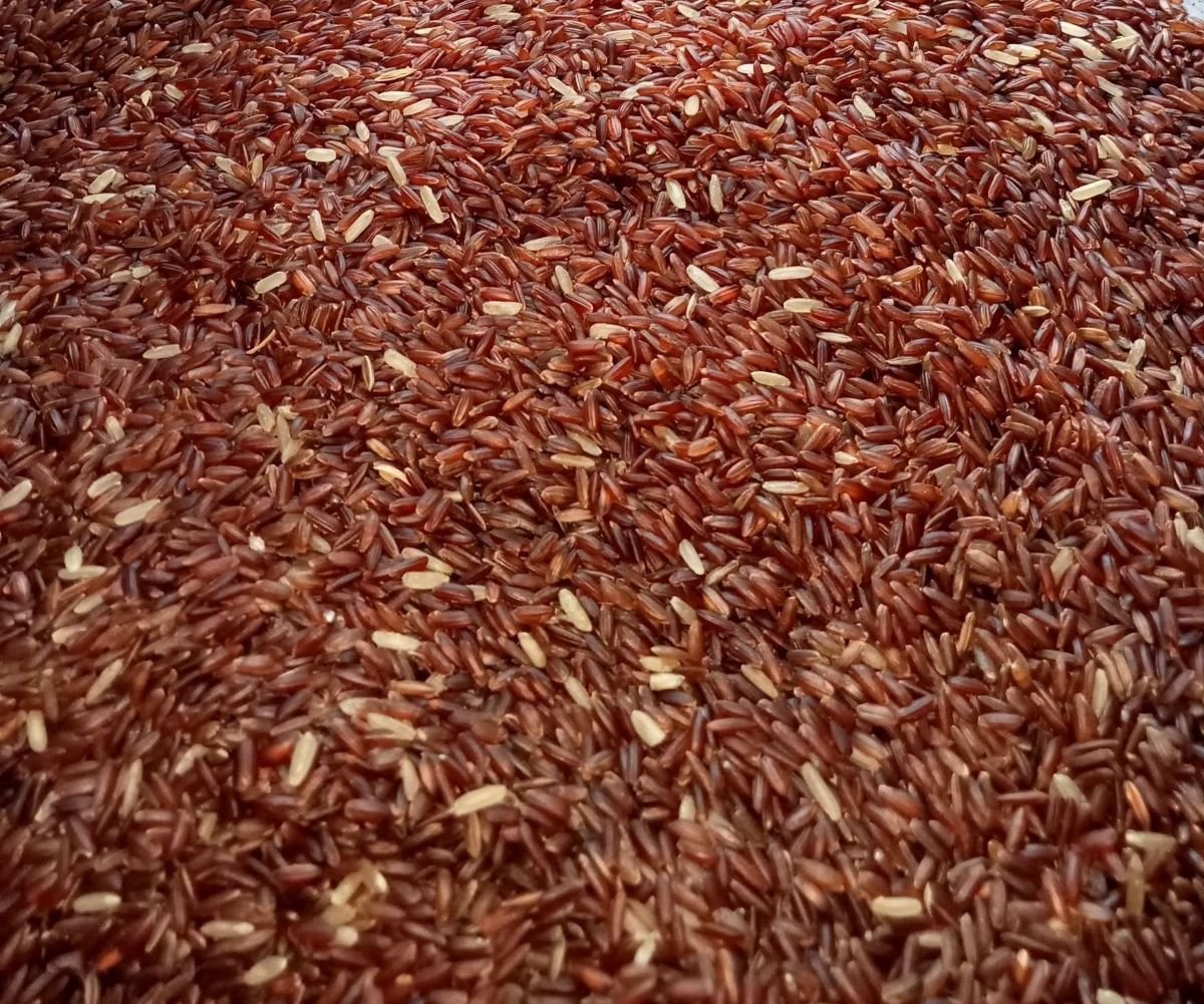 লাল চাল(ফুল ফাইভার)